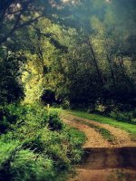 Amazing Hill County Holidays