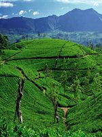 Stunning Hill County Holidays