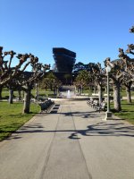 Golden Gate Park