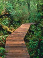 Pacific Rim National Park