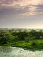 Amazing Keoladeo National Park Holidays
