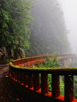 Stunning Darjeeling Highland Tours