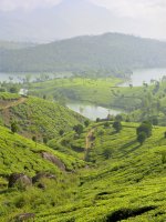 Kerala Backwaters Holiday