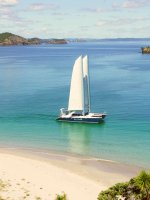 Bay of Islands - Boat