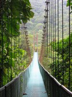 Monteverde