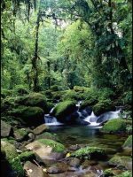 Monteverde