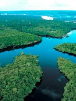 Amazonas