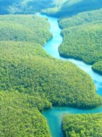 Amazonas