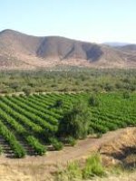 Central Valley Chile