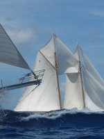 Barbados Mt Gay Rum Race