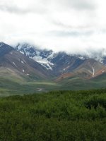 Denali National Park