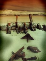 Skeleton Coast
