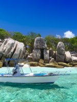 Bird Island Holidays
