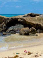 Bird Island Holidays