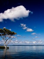 Fraser Island