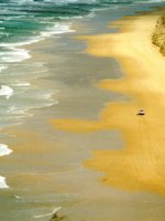Fraser Island Holidays