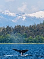 Inside Passage