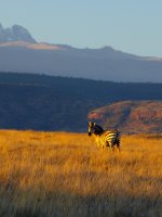 Mount Kenya