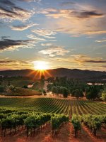California Wine Country