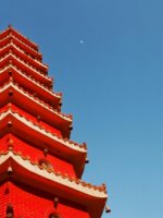 Stunning Ten Thousand Buddhas Holidays