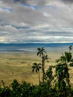 Ngorongoro Crater