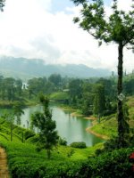 Nuwara Eliya Holidays