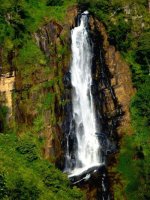 Nuwara Eliya Holidays