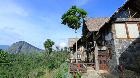 98 Acres Resort, Ella