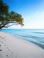 Abv Mile Long Stretch Of Beach