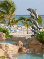 Dolphinswide