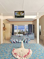 CA Honeymoon Deluxe HR