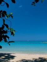 Secludedbeach