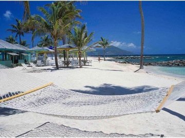 Oh BeachHammock