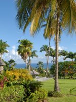 VW16ViewEngCottOcean4233hiOTTLEYS