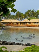 HWV DolphinQuestVillage