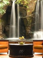 Westin Maui Resort - Maui