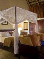 Marlin Lodge 249