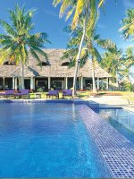 Palms12