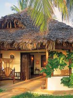 Palms3