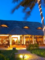 Palms8