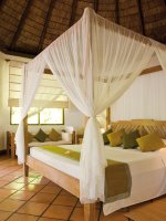 Deluxe Villa (4)