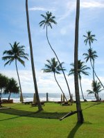 The Hammock Garden