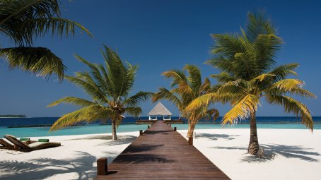 Coco Bodu Hithi