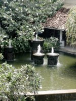 AccommodationStyleALK0poolxxxxxxxxxxx00303