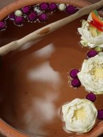 Zeavola Details & Moods 11