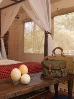 Mara Safari