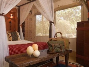 Mara Safari