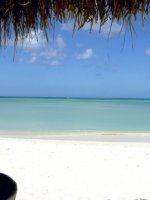 Occidental Grand Aruba Hotels