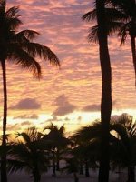 Machebo Beach Resort and Spa