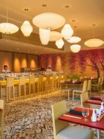 Soy restaurant